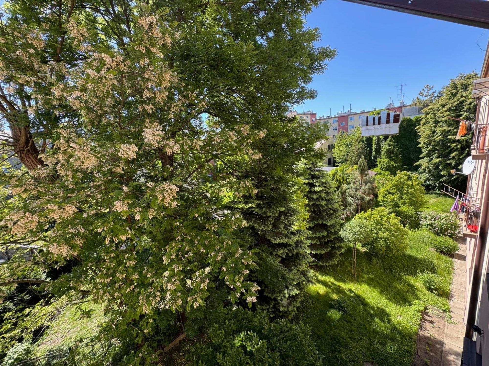 Apartament Akacja Centrum *